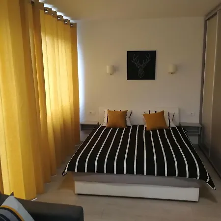 Oasis Banovo Brdo-ada Ciganlija Belgrade